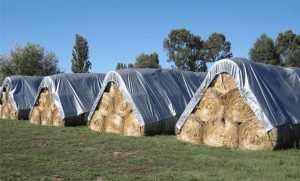 PVC Tarpaulin for Agriculture