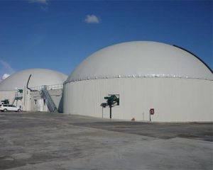 Naizil (Canada) product image1