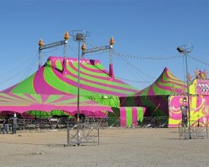 Naizil (Canada) product image2