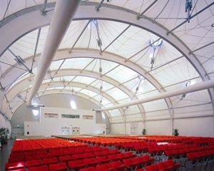 Naizil (Canada) product image3